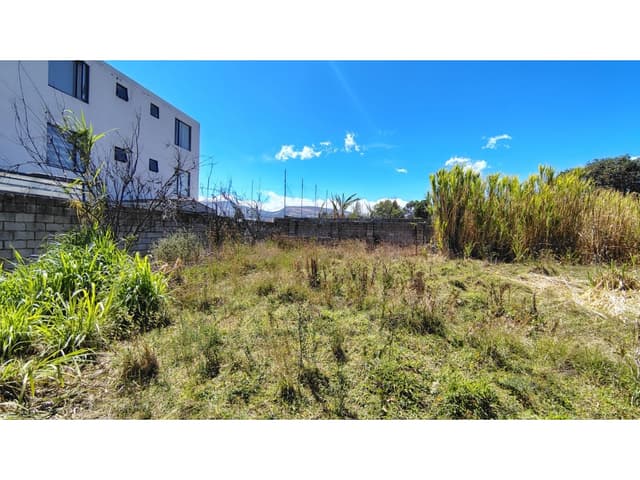 Terreno en venta Morita, Tumbaco, pocas Cuadras Ruta Viva 2163m2