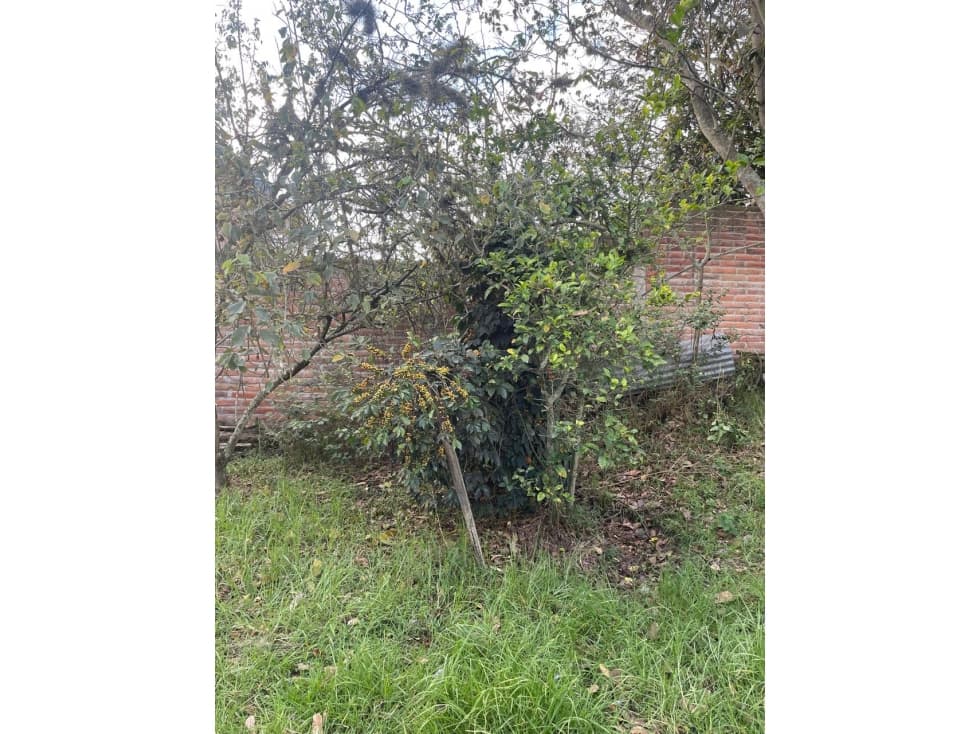 258mil Venta Terreno en el Conjunto en Tumbaco 1.123 m² — foto 3