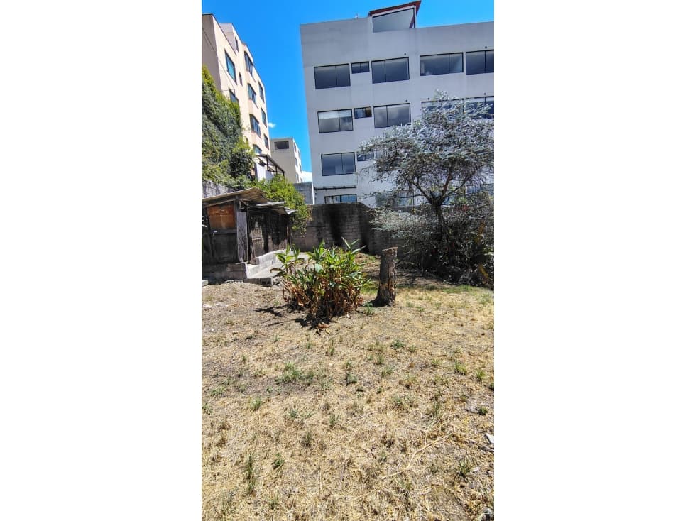Venta Terreno con amplia casa, Mañosca, Granda Centeno 899m2, 310mil — foto 4