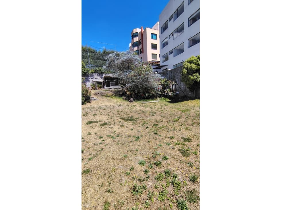 Venta Terreno con amplia casa, Mañosca, Granda Centeno 899m2, 310mil — foto 5