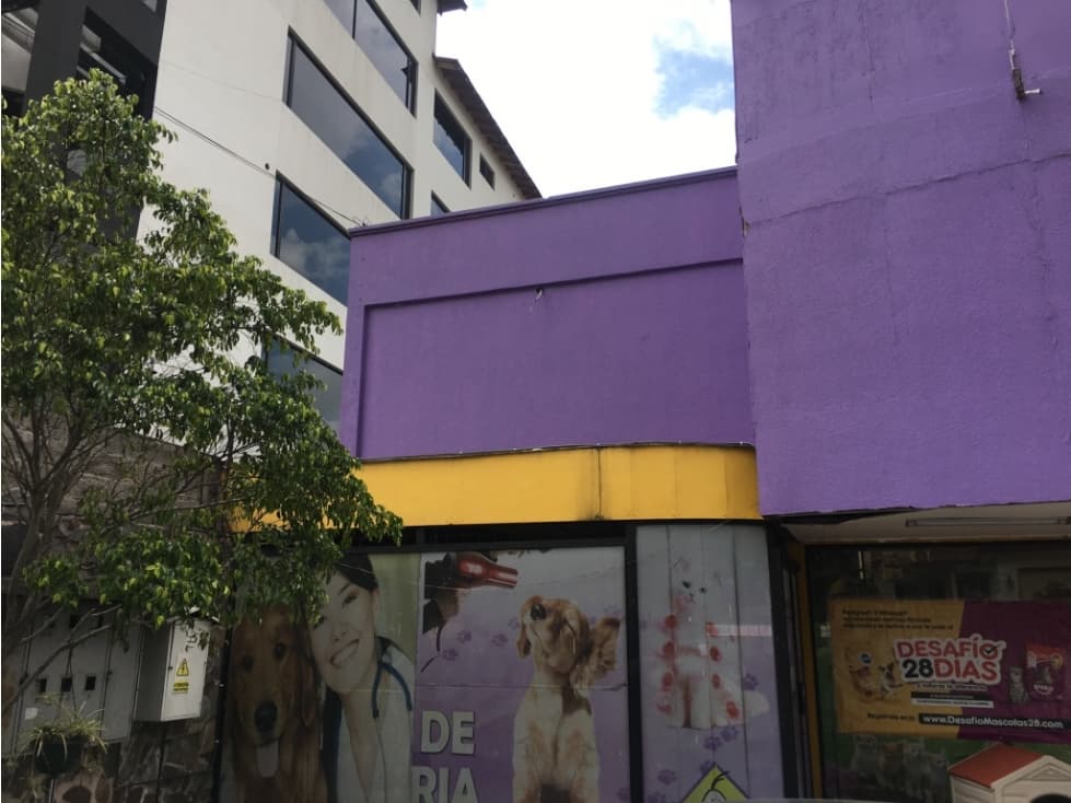LOCAL EN RENTA 300M2 SECTOR CC BOSQUE — foto 5