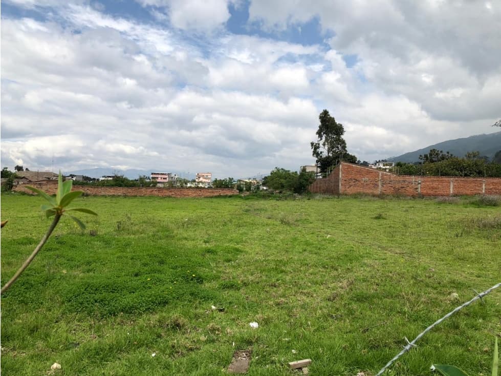 TERRENO DE VENTA EN PIFO — foto 1
