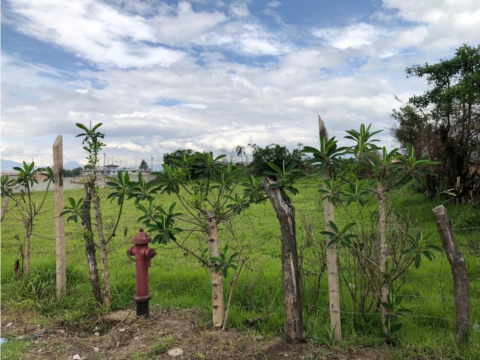 TERRENO DE VENTA EN PIFO — foto 4