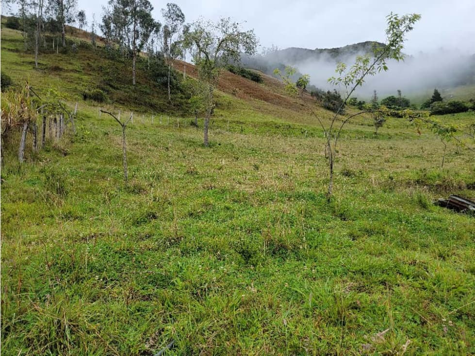 Terreno en Guaraynag / Paute! — foto 4