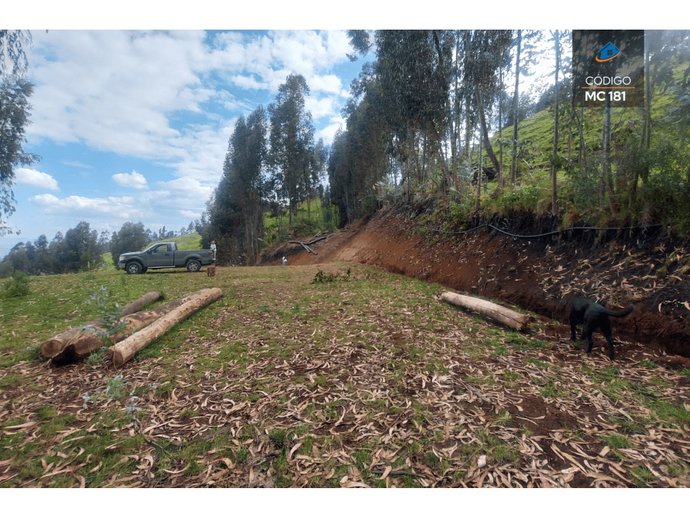 TERRENO EN VENTA EN CHIQUINTAD — foto 5