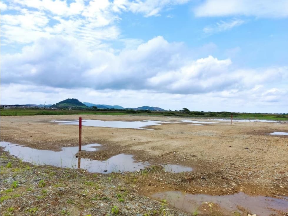 Venta Terreno industrial 10.000m²- Rellenados- Vía a Samborondón — foto 3