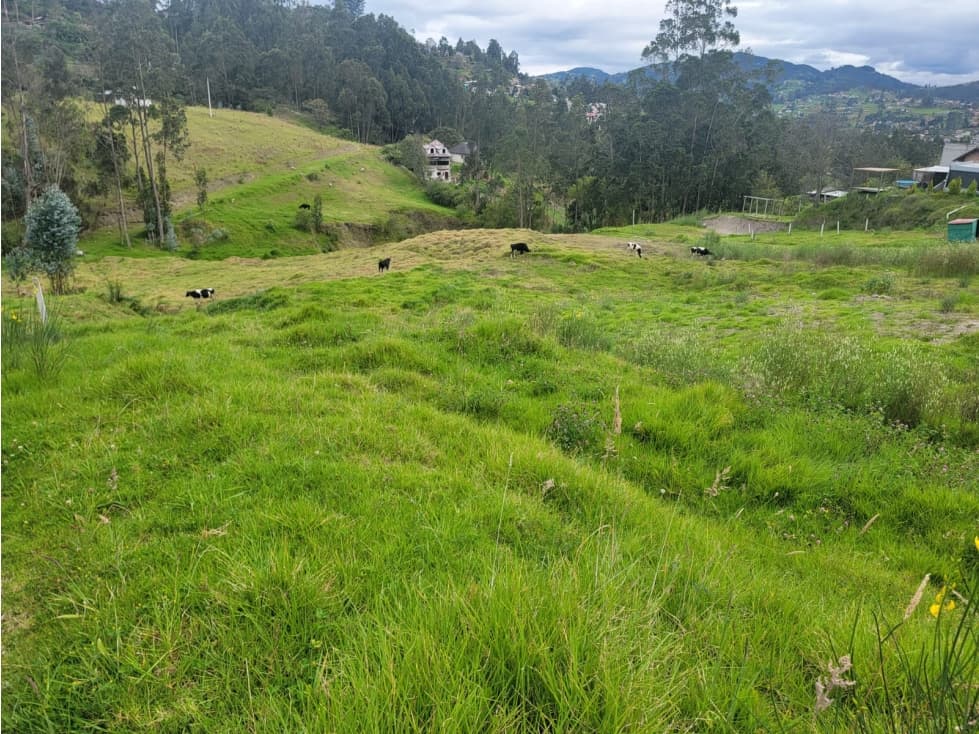 VENDO TERRENO DE 5.900 MTS EN EL VALLE  $34.000 NEG. CUENCA — foto 3
