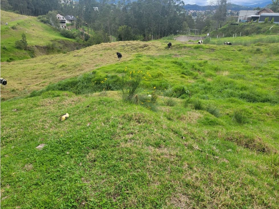 VENDO TERRENO DE 5.900 MTS EN EL VALLE  $34.000 NEG. CUENCA — foto 1