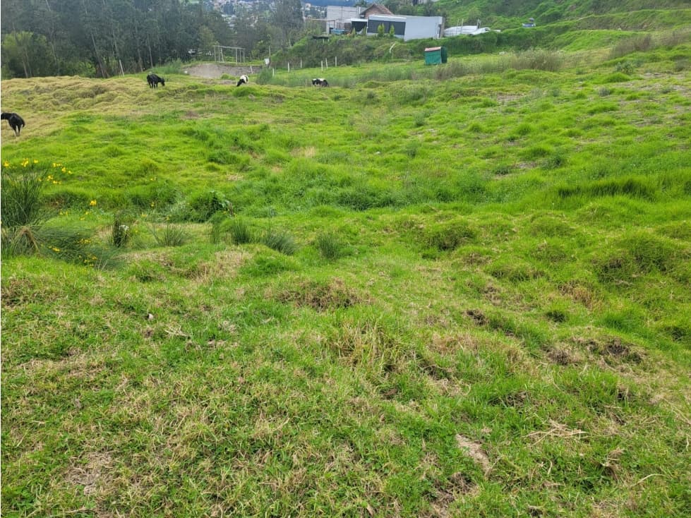 VENDO TERRENO DE 5.900 MTS EN EL VALLE  $34.000 NEG. CUENCA — foto 5