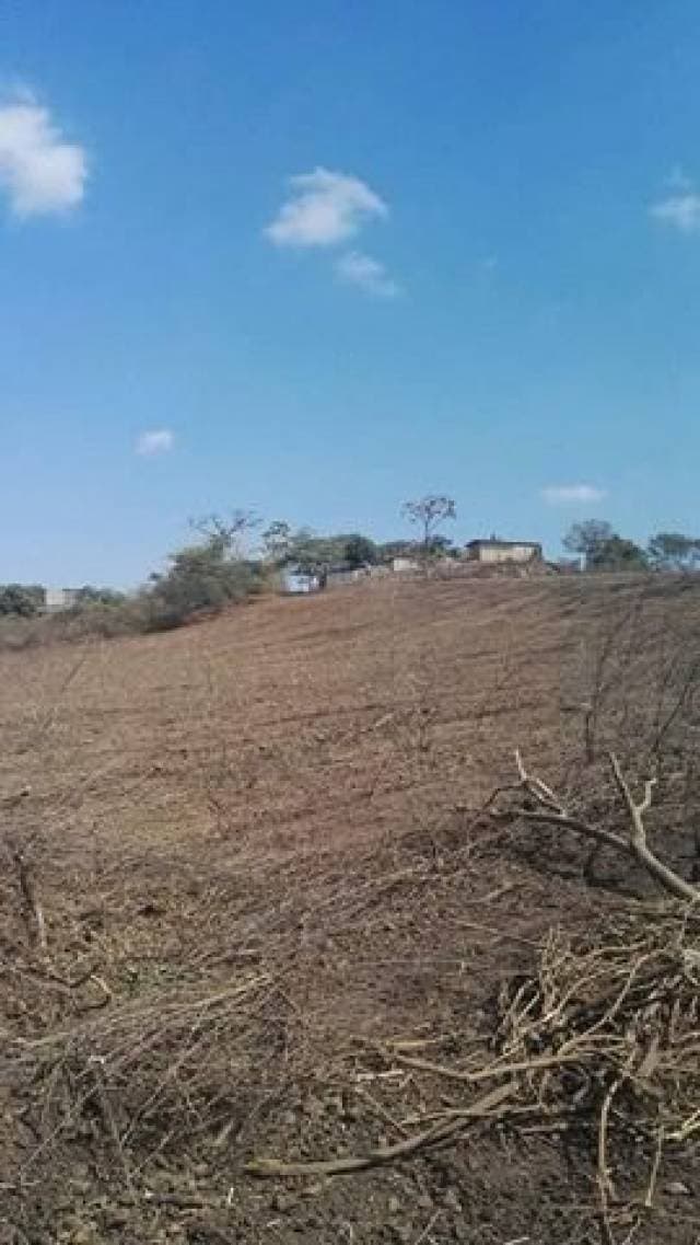 Vendo Terrenos en Guayquil — foto 1