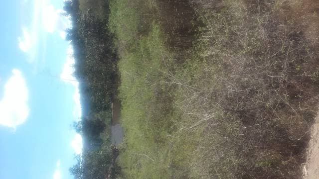 Terreno en San Pedro del Valle — foto 1