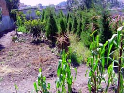 Vendo Lote 566m2 San Isidro Del Inca 150.000 $ Negociable