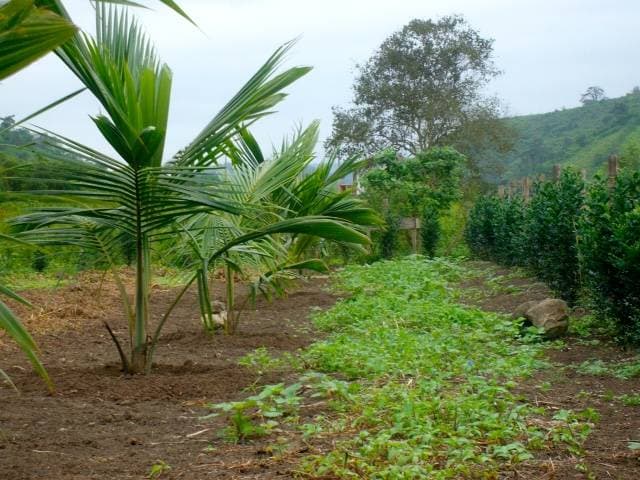 Venta lote en Montañita — foto 3