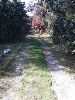 FINCA QUINTA