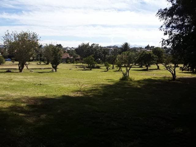 FINCA QUINTA — foto 2