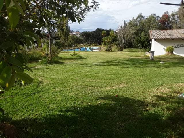 FINCA QUINTA — foto 5