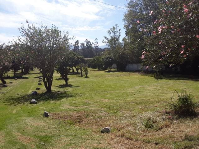 FINCA QUINTA — foto 7