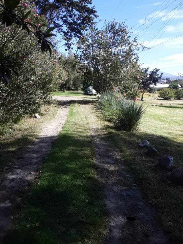 FINCA QUINTA — foto 8