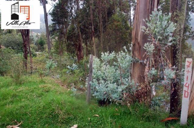 TERRENO AMPLIO Y FUNCIONAL EN SAN CRISTOBAL — foto 2