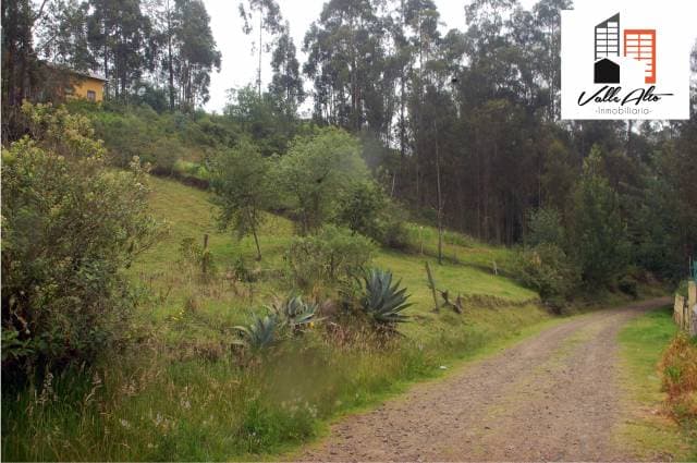 TERRENO AMPLIO Y FUNCIONAL EN SAN CRISTOBAL — foto 5