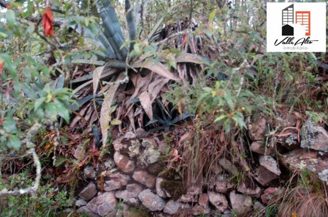 TERRENO AMPLIO Y FUNCIONAL EN SAN CRISTOBAL — foto 6