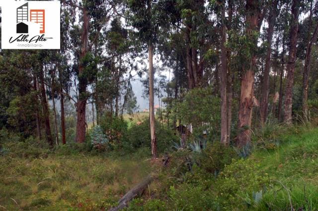TERRENO AMPLIO Y FUNCIONAL EN SAN CRISTOBAL — foto 9