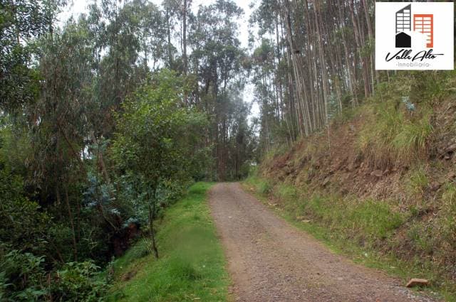 TERRENO AMPLIO Y FUNCIONAL EN SAN CRISTOBAL — foto 12