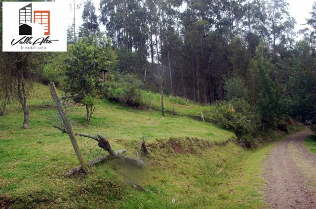 TERRENO AMPLIO Y FUNCIONAL EN SAN CRISTOBAL — foto 14