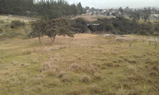 ARRIENDO TERRENO — foto 2