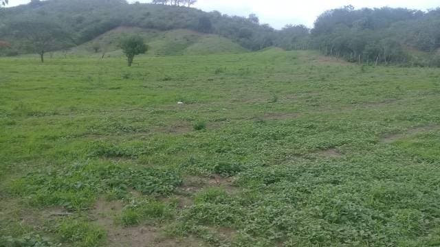 Terreno En Venta De 10.658 Metros Cuadrados — foto 2