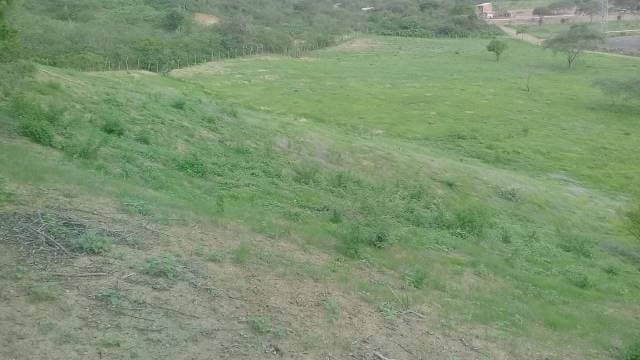 Terreno En Venta De 10.658 Metros Cuadrados — foto 6