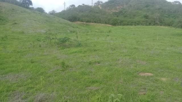 Terreno En Venta De 10.658 Metros Cuadrados — foto 7
