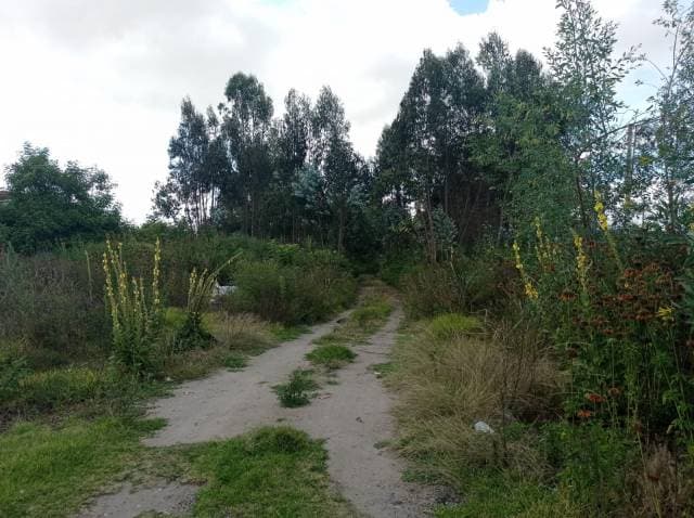 Terreno en la Panamericana Norte Calderon — foto 2