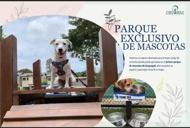 Departamento de Oportunidad en Vía la Costa — foto 7