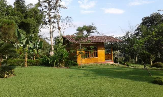 CASA GRANDE CON CABAÑAS — foto 4