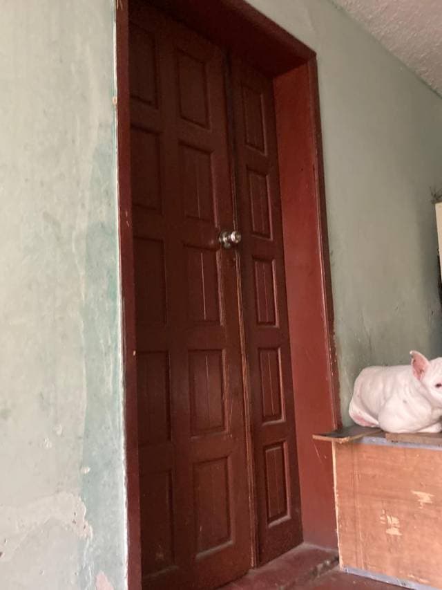 Casa Rentera - Dos Departamentos - Usd 55000 - Tola Baja — foto 4