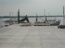 Terminal Portuario Primatierre S.A.