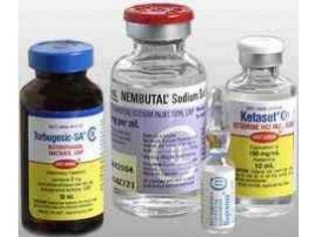 Pentobarbital sódico Nembutal de calidad a la venta — foto 1