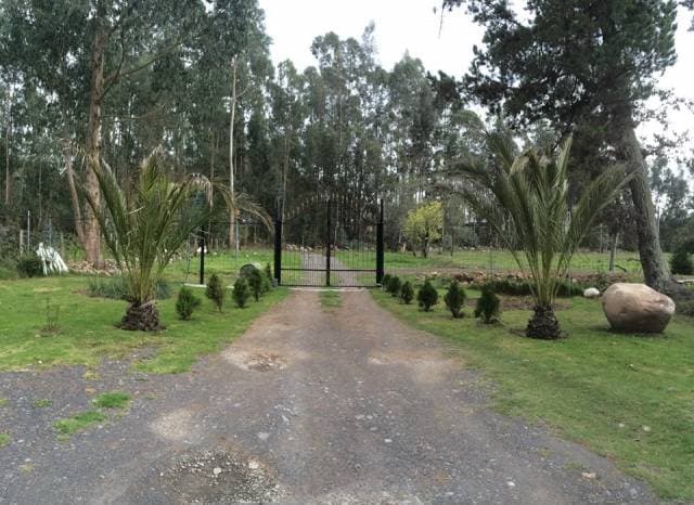 Arriendo Departamento amoblado (2) — foto 7