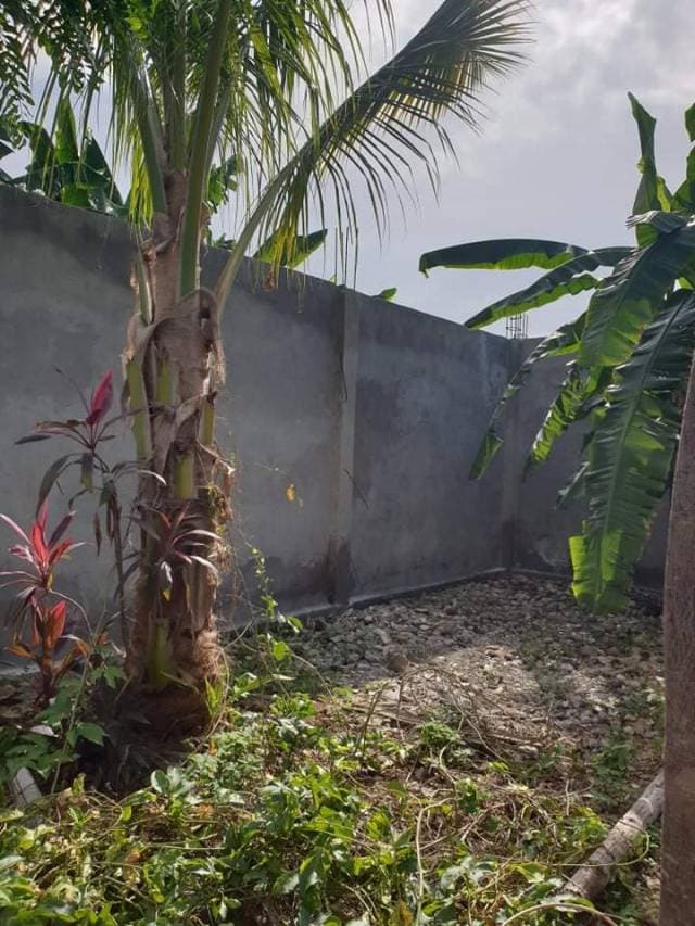 Terreno de 334.51 m  cuadrados — foto 3