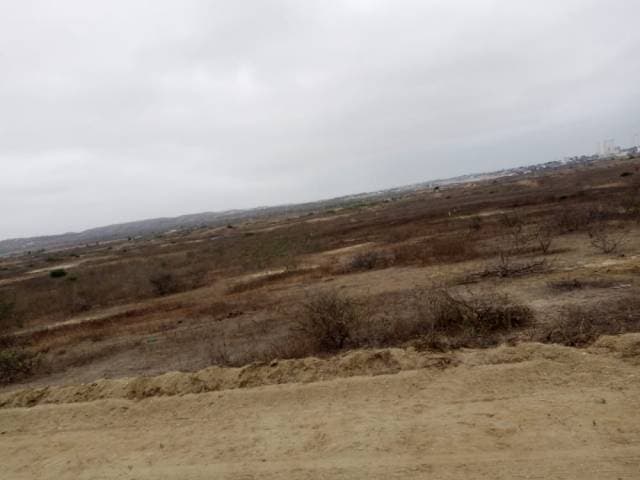 Oferta Terreno Punta Blanca 250 m2 — foto 2