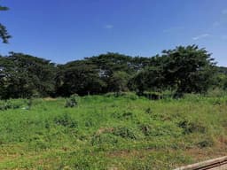 Venta Terreno Vía A La Costa Km 36 Muy Cerca Del Nuevo Aeropuerto El Daular