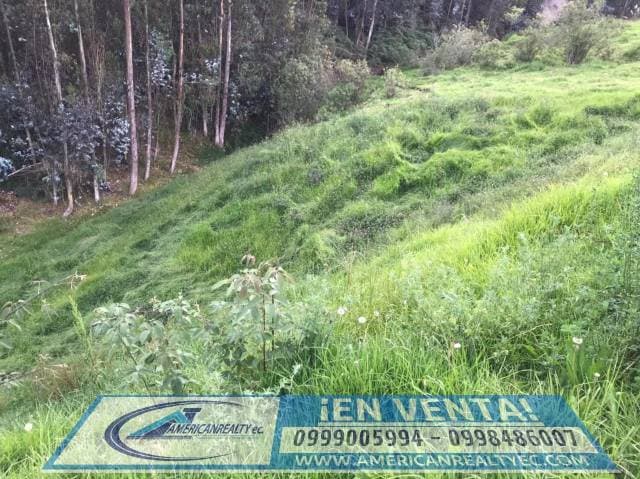 SE VENDE LINDA PROPIEDAD COD. 871 — foto 3