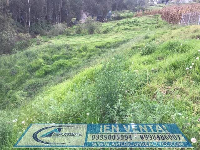 SE VENDE LINDA PROPIEDAD COD. 871 — foto 6