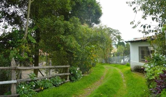 Venta de un terreno que tiene 10,000 m2. — foto 3