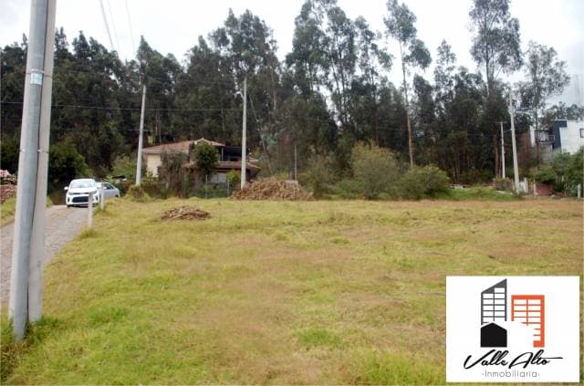 AMPLIO TERRENO ESQUINERO EN TURI. — foto 2