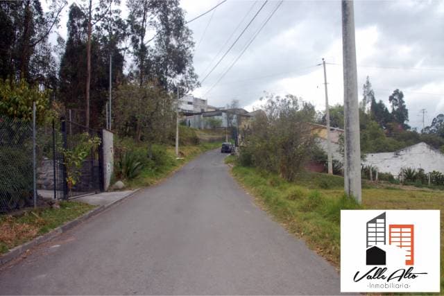 AMPLIO TERRENO ESQUINERO EN TURI. — foto 3