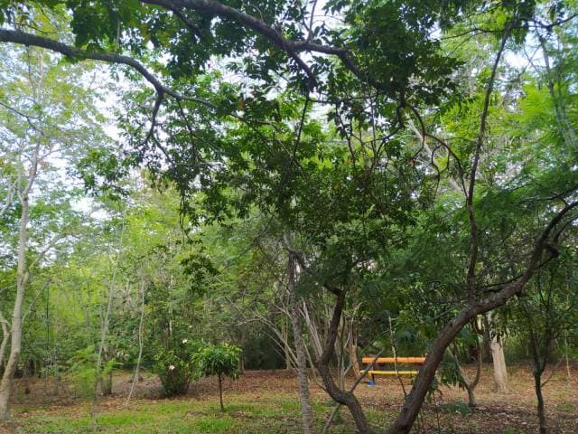 CASAS CAMPESTRES EN ARRIENDO — foto 6