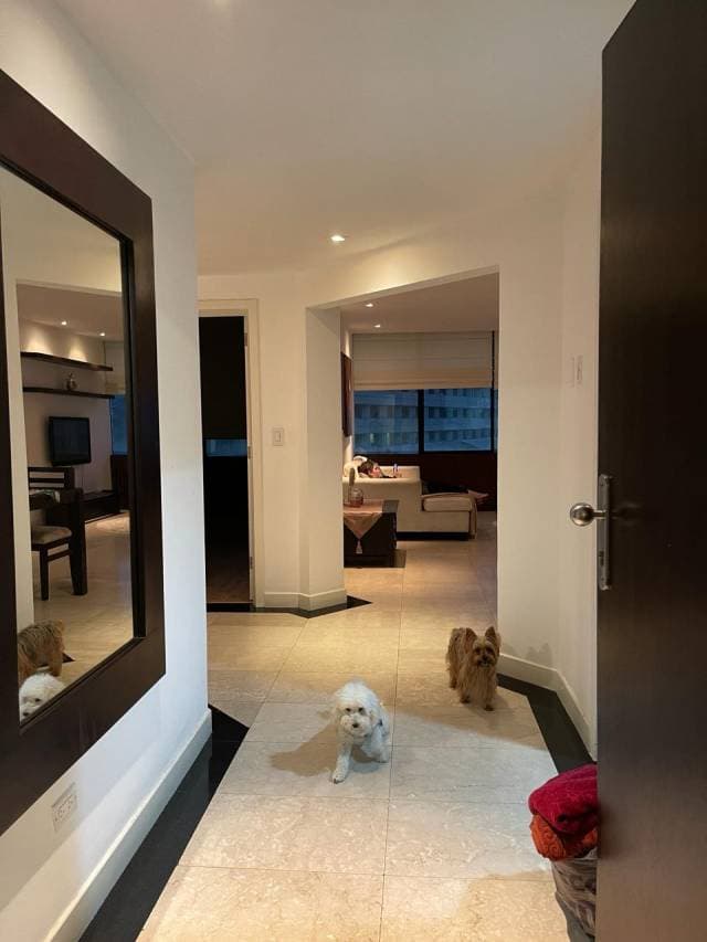 VENTA DE DEPARTAMENTO — foto 3