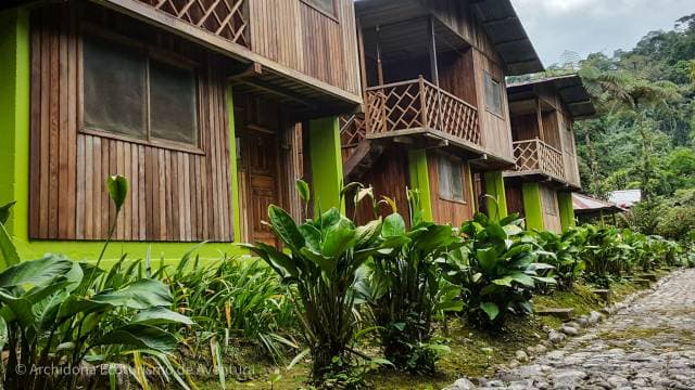 Venta de Propiedad en la Amazonía Ecuatoriana – 22 Hectáreas con Lodge y Acceso a Río
